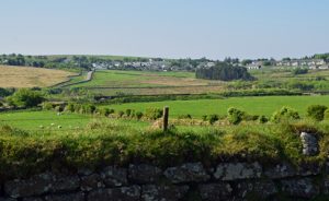 Dartmoor: mooi wijds uitzicht