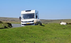 Er zijn er meer op weg naar Dartmoor: