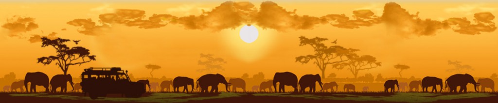 Addo-Sunset