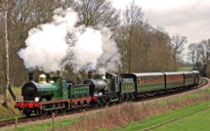 De Bluebell Railway door de Southdowns