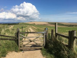 Trail in de South Downs: een prachtig wandelgebied