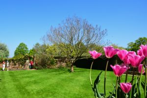 Sisinghurst: mooie doorkijkjes