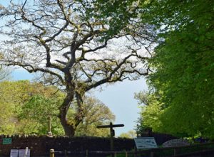 Het startpunt voor de wandeling door Clovelly
