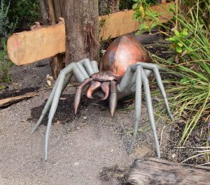 Grote insecten trekken her en der de aandacht