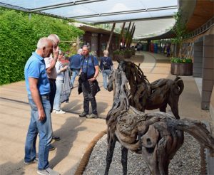 Verzamelen bij het HOuten Paard