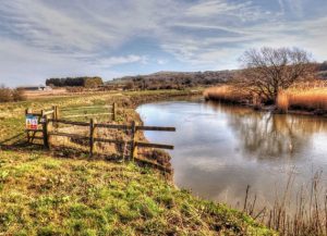 prachtige natuur in de Southdowns