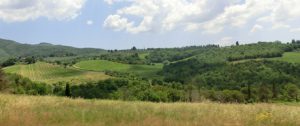 onderweg_Chianti