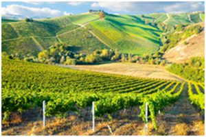 Toscaans landschap