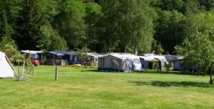 het grote veld