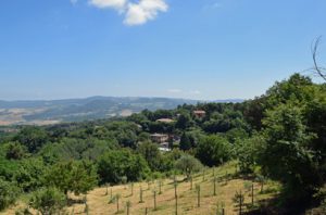 Op weg naar Volterra