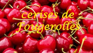 cerises de Fougerolles