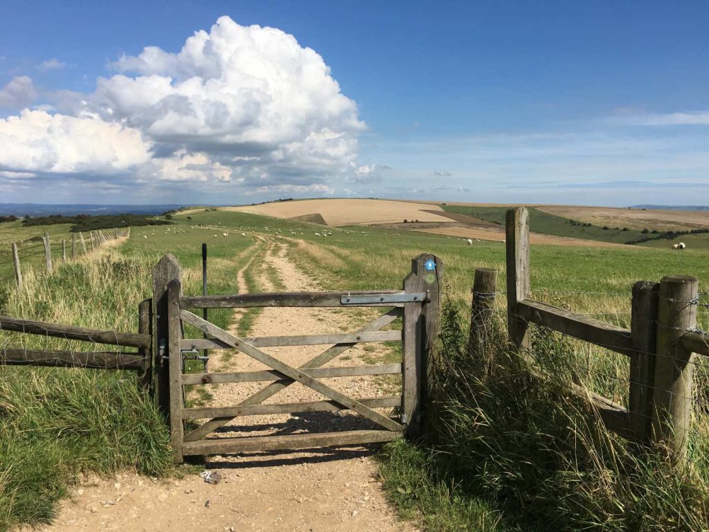 Trail in de South Downs: een prachtig wandelgebied